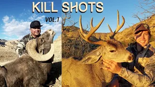 UNREAL HUNTING KILL SHOT COMPILATION!! Vol. 1