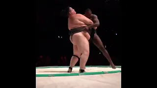 Anthony Johnson vs the Heaviest Sumo Wrestler in History in a Sumo Match 😯