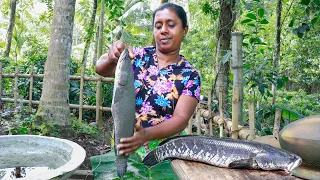 A healthy meal with traditional red rice and shol fish curry. .village kitchen recipe/fish recipe