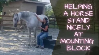 Tips & Demo on Helping A Horse Stand Still at The Mounting Block Using Target Training