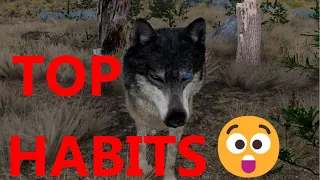 Top Habits in WolfQuest 3 AE (THAT YOU MIGHT HAVE DONE BEFORE!!!!)