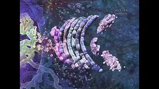 golgi apparatus by NUCLEUS  KNOWLEDGE 3d animation