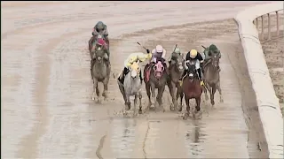 LAUREL PARK 03 02 2024 RACE 5