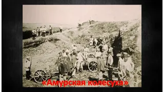 История за 5 минут: дальневосточная каторга.