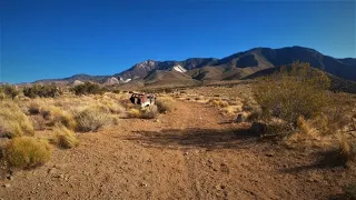 Exploring ABANDONED HOUSES In The MOJAVE DESERT + Visiting The OASIS!