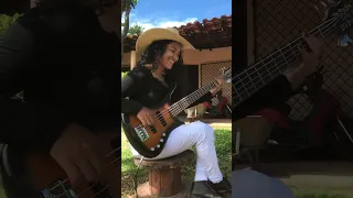 Americana na vaquejada ( bass cover)