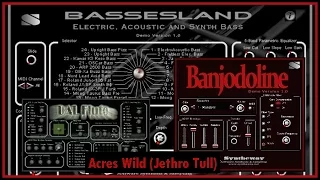 Acres Wild (Jethro Tull) Bassesland Fretless Bass, Banjodoline Acoustic Electric Mandolin, Flute VST