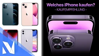 Welches iPhone kaufen? iPhone 14 (Pro), 13, 12, 11, SE? - Kaufempfehlung | Nils-Hendrik Welk