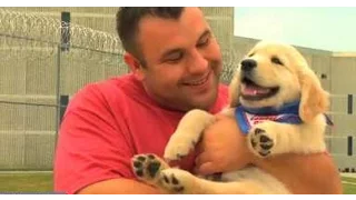 2013 • Inside to Outside Initiative - Prison Puppy Raising Program