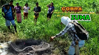 COBRA muntik ng maka BIKTIMA 😱😱 Huli kay ZUMA ! | zuma haring ahas