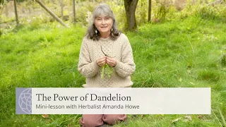 The Power of Dandelion | Mini-lesson with Herbalist Amanda Howe