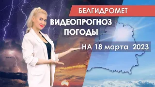 Видеопрогноз погоды по областным центрам Беларуси на 18 марта 2023 года