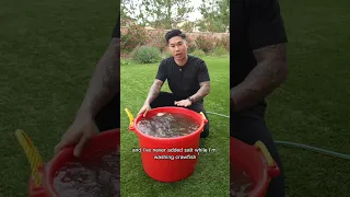Cleaning/Washing Crawfish