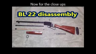 Browning BL 22 how to remove wood stock and forearm