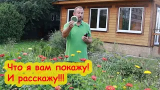 МИЛЛИОН ВОПРОСОВ О БИОПРЕПАРАТАХ! Несколько ответов в нашей научной пятнице.