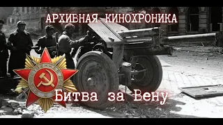 ☭ | WW2 | Битва за Вену