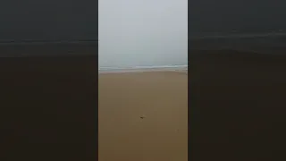 My first time at Omaha Beach- Dog Green Sector