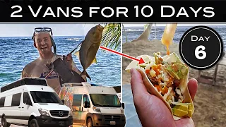 THE BEST VANLIFE BEACH EVER -- Fresh Fried Fish Tacos at Punta Uva