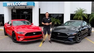 Which 2019 Ford Mustang GT Performance Pack should you BUY?