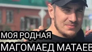 Магомед Матаев "Моя родная"