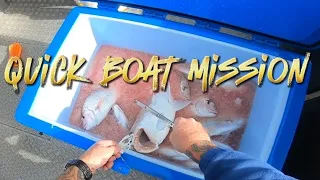 quick boat mission