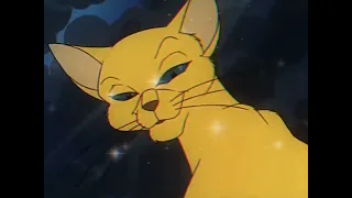 Felidae [Мы к вам заехали на час]