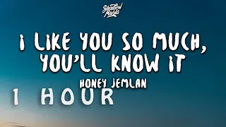 [ 1 HOUR ] Honey Jemlan - I Like You So Much, You'll Know It ((Lyrics))