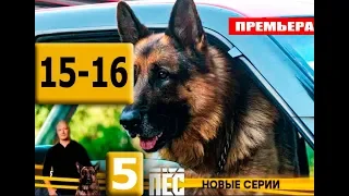 ПЕС 5 СЕЗОН 15,16 СЕРИЯ (сериал 2019) АНОНС И ДАТА ВЫХОДА