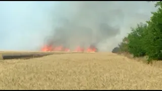 війна...горить поле...пшениця...