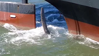 Propeller Turning, USS Jerehmiah O'Brien Liberty Military Ship San Francisco, CA