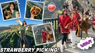 Quick Trip To BAGUIO! | WE WENT STRAWBERRY PICKING! | Sai Datinguinoo