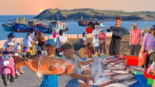 ĐẢO PHÚ QUÝ Vào Mùa Đẹp Nhất Trong Năm ║Nghề Câu Khơi Trúng Toàn Cá To