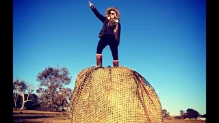 Horses eating from a 5x4 4cm Round Bale GutzBusta Slow Feed Hay Net (48ply)