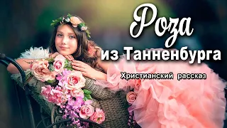 🌹РОЗА🌹 из Танненбурга, христианский рассказ