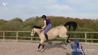 Elphick.Event.Ponies Jumping Edit!!