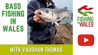 Sea Fishing in Wales - Bass fishing