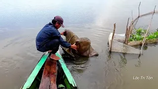 Mưa Nặng Hạt-NƯỚC LỚN Đặt Dớn Trúng Luồng Cá/Heavy rain