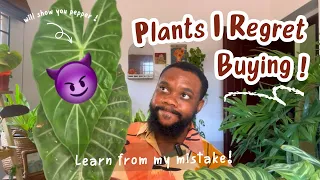 Plants I will never buy again ! De-influencing overrated house plants .