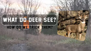 What do DEER SEE?! How do WE TRICK Them!?