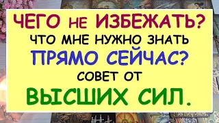 ⚡ ЧЕГО НЕ ИЗБЕЖАТЬ? ❌ ЧТО МНЕ НУЖНО ЗНАТЬ ПРЯМО СЕЙЧАС? СОВЕТ ОТ ВЫСШИХ СИЛ Tarot Diamond Dream Таро