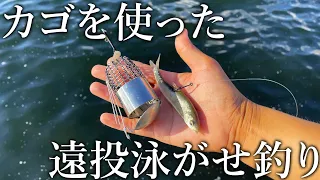 生きた小魚を格納して遠投できる！高級魚まで釣れるカゴ仕様の遠投泳がせ釣りを紹介します