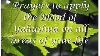 Apply the Blood of Yeshua to Heal All Areas of your Life