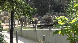 Зоопарк в Праге / Zoologická zahrada v Praze
