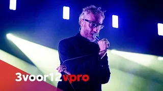The National - Light Years (live at Lowlands 2019)