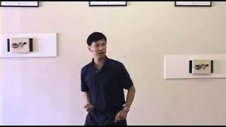 Yang Family Tai Chi Parry Block Punch to Closing