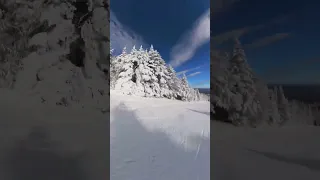 Killington bluesky heaven