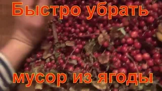 Откатать ягоду быстро брусника черника клюква 20 09 2018 быстро убрать мусор из ягоды