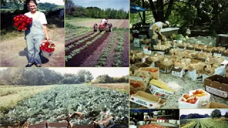 Rooted in Ferguson, Growing Food, Farmers and Community: EarthDance - Molly Rockamann