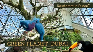 Green Planet Dubai | Secret Rainforest in Dubai | Full Tour | Tourist Attraction | VLOG