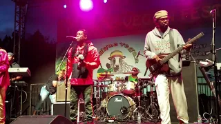 Irie Ites. Third World, Vegan Fest, 2019